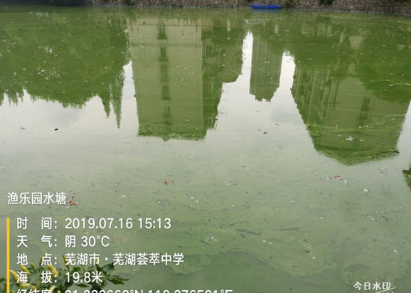蕪湖薈萃中學校內(nèi)水塘藍藻治理